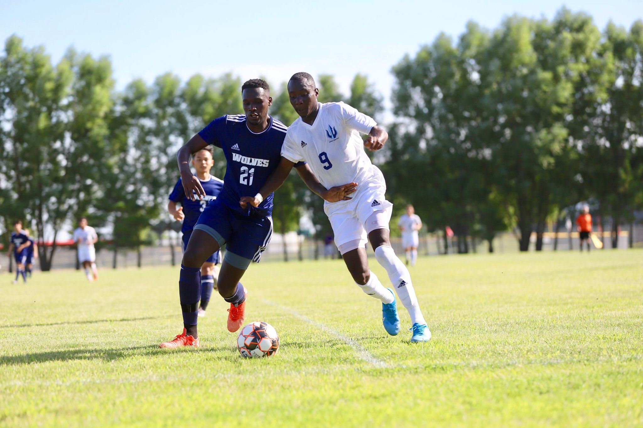 Tritons denied in season opener at Hawkeye
