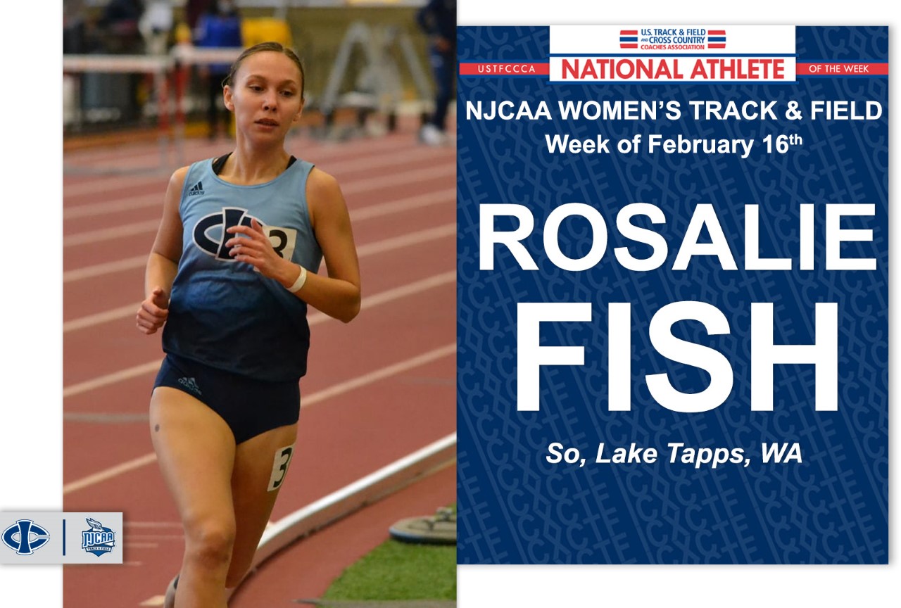 Fish scores sweep of weekly honors