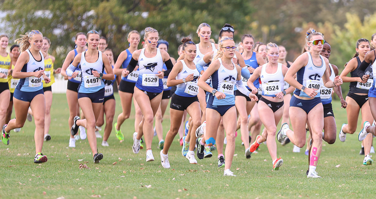 Tritons Show Well at Region 11 Championships